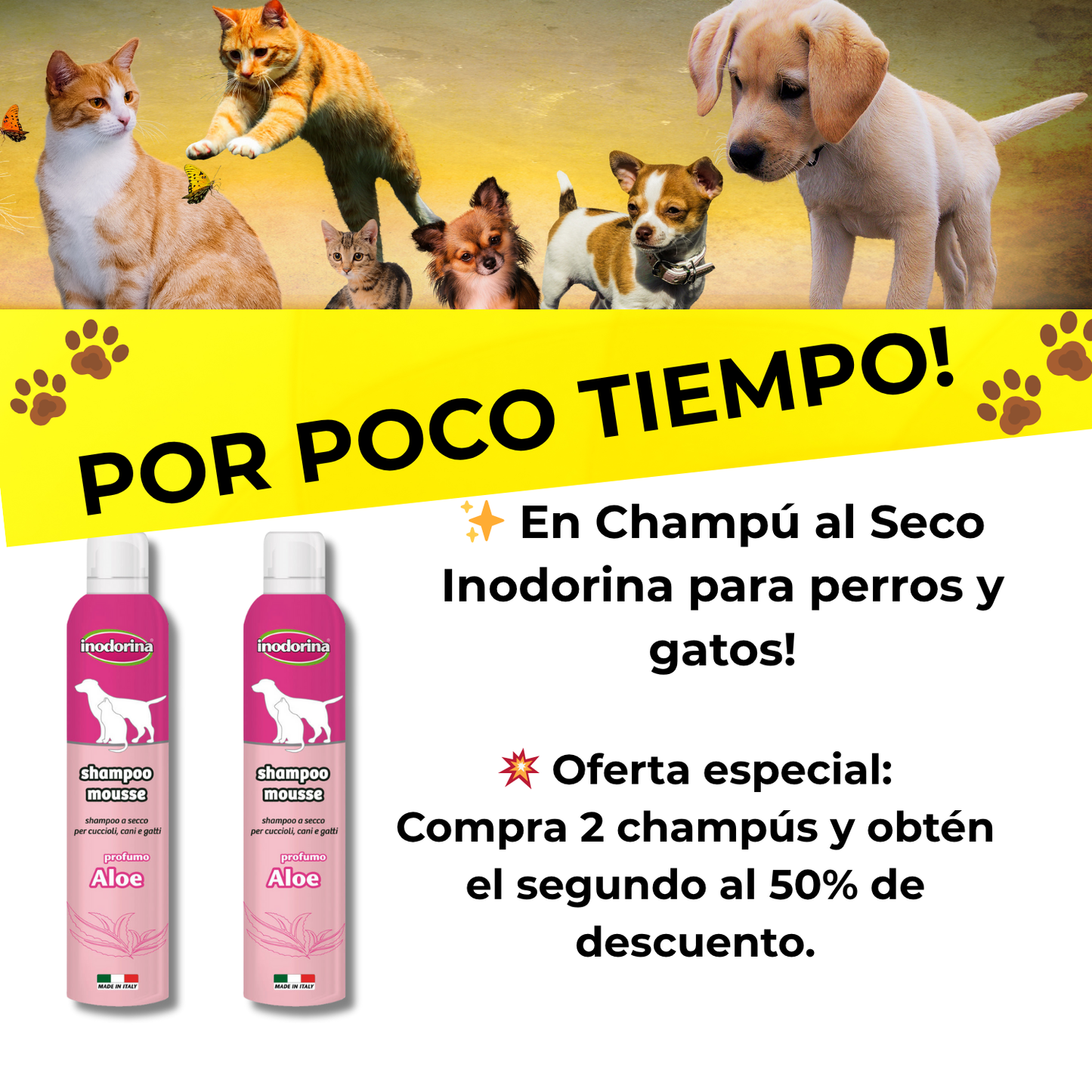 🧴Champú al Seco Inodorina con Clorexidina  300 ml, Higiene total sin agua 🐾Y 50% DE DESCUENTO EN EL SEGUNDO! Mantén a tu mascota limpia y protegida sin necesidad de mojarla.          🚚 ENTREGA RÁPIDA: DE 3 A 5 DÍAS HÁBILES